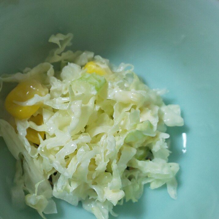 白菜☆セロリのコールスローサラダ